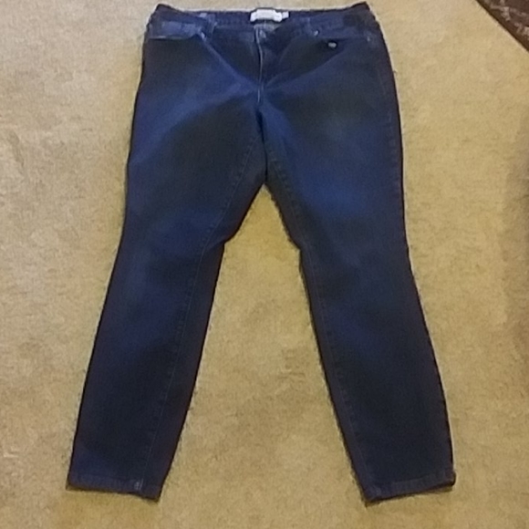 torrid Denim - Torrid Skinny Jeans